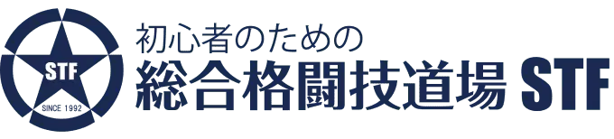 総合格闘技場STF