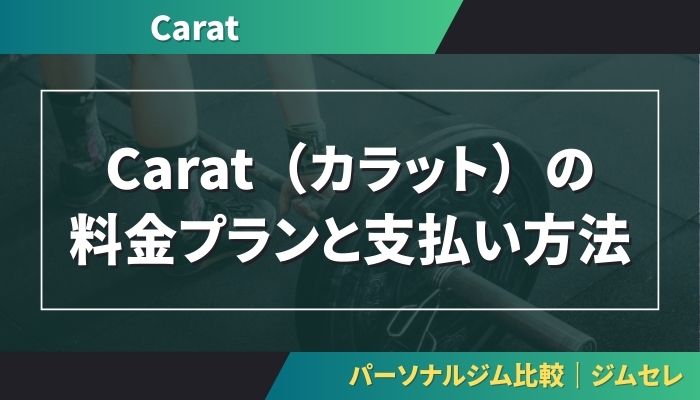 Carat（カラット）の料金プランと支払い方法