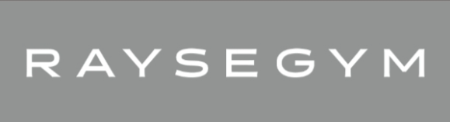 レイズジム